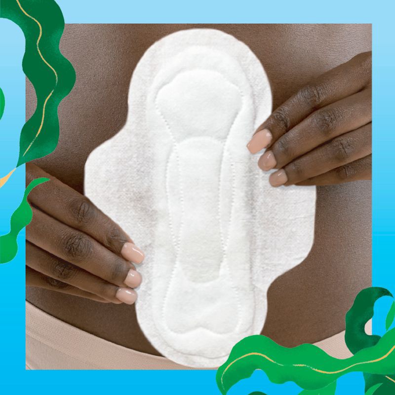 slide 2 of 10, L . Organic Cotton Topsheet Ultra Thin Regular Absorbency Pads with Wings - 56ct, 56 ct