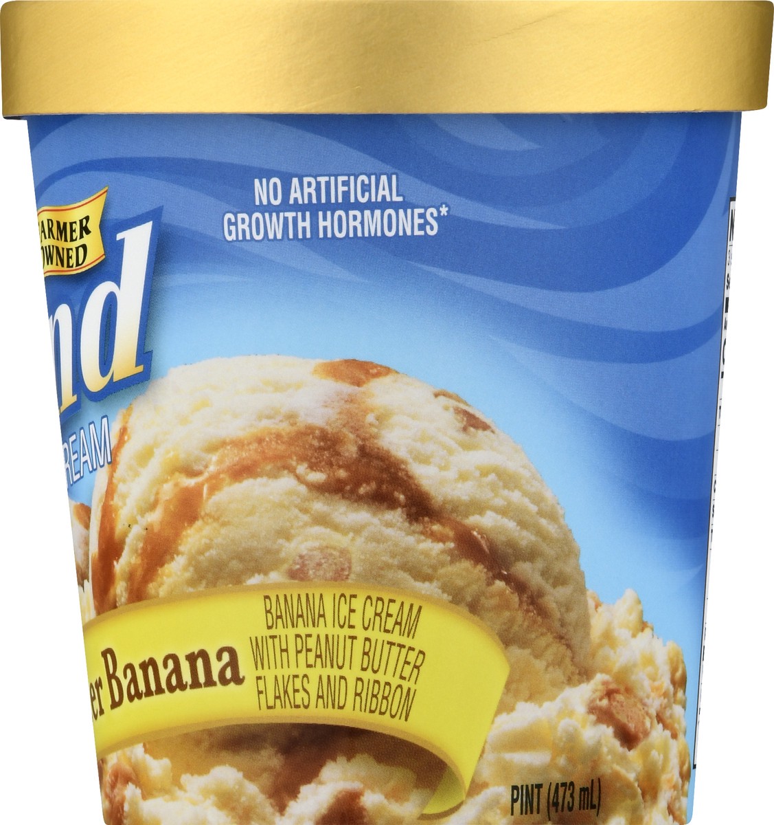 slide 5 of 13, Hiland Dairy Premium Peanut Butter Banana Ice Cream 1 pt, 1 pint