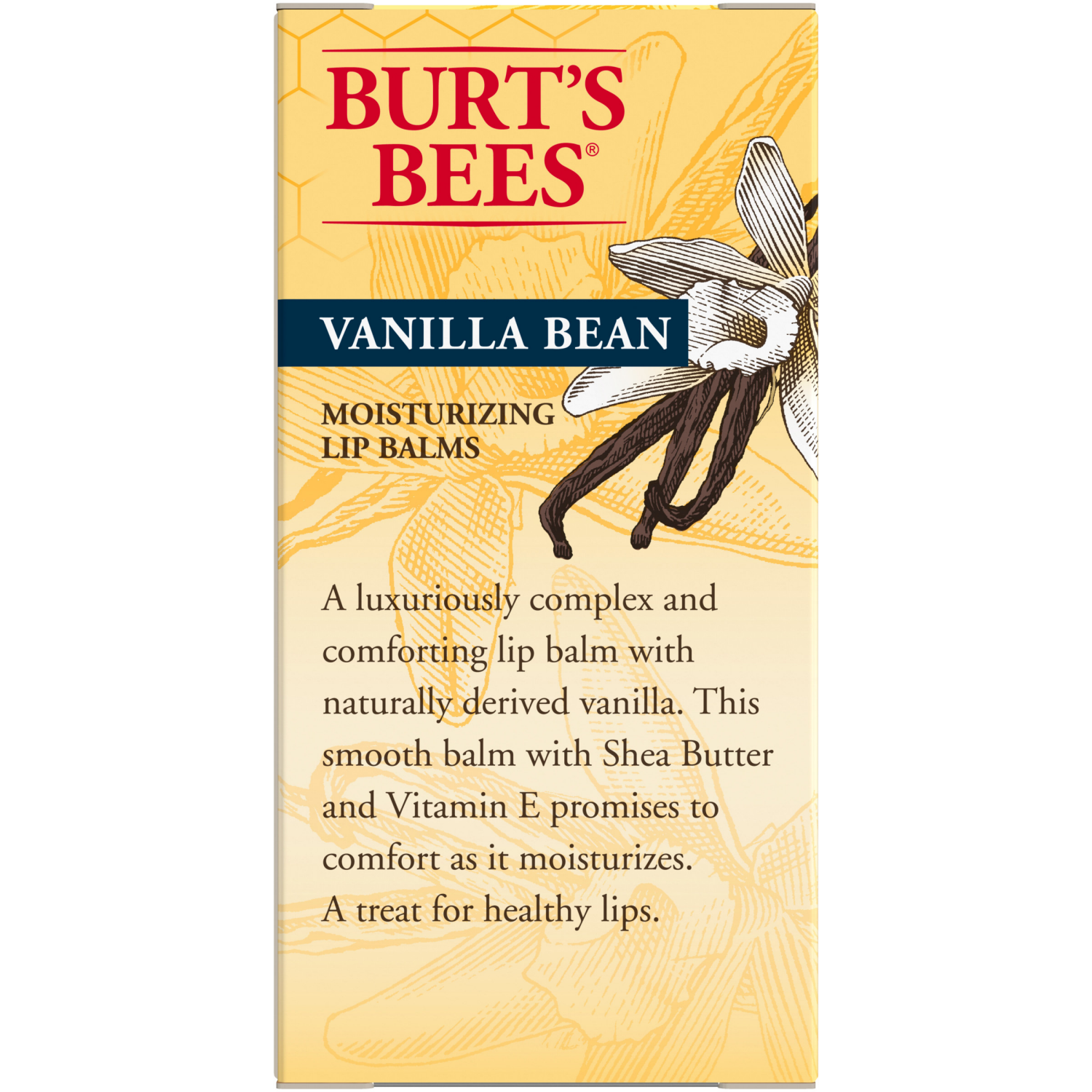 slide 2 of 8, Burt's Bees Vanilla Bean Moisturizing Lip Balms, 2 ct