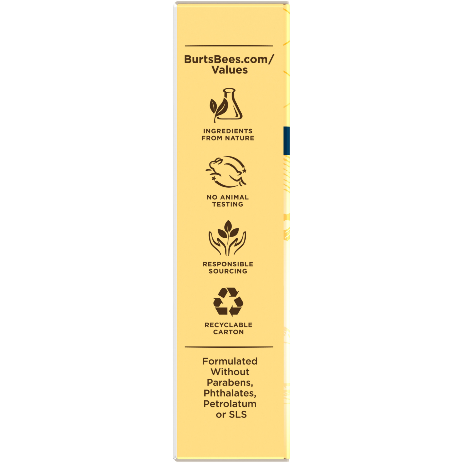 slide 3 of 8, Burt's Bees Vanilla Bean Moisturizing Lip Balms, 2 ct