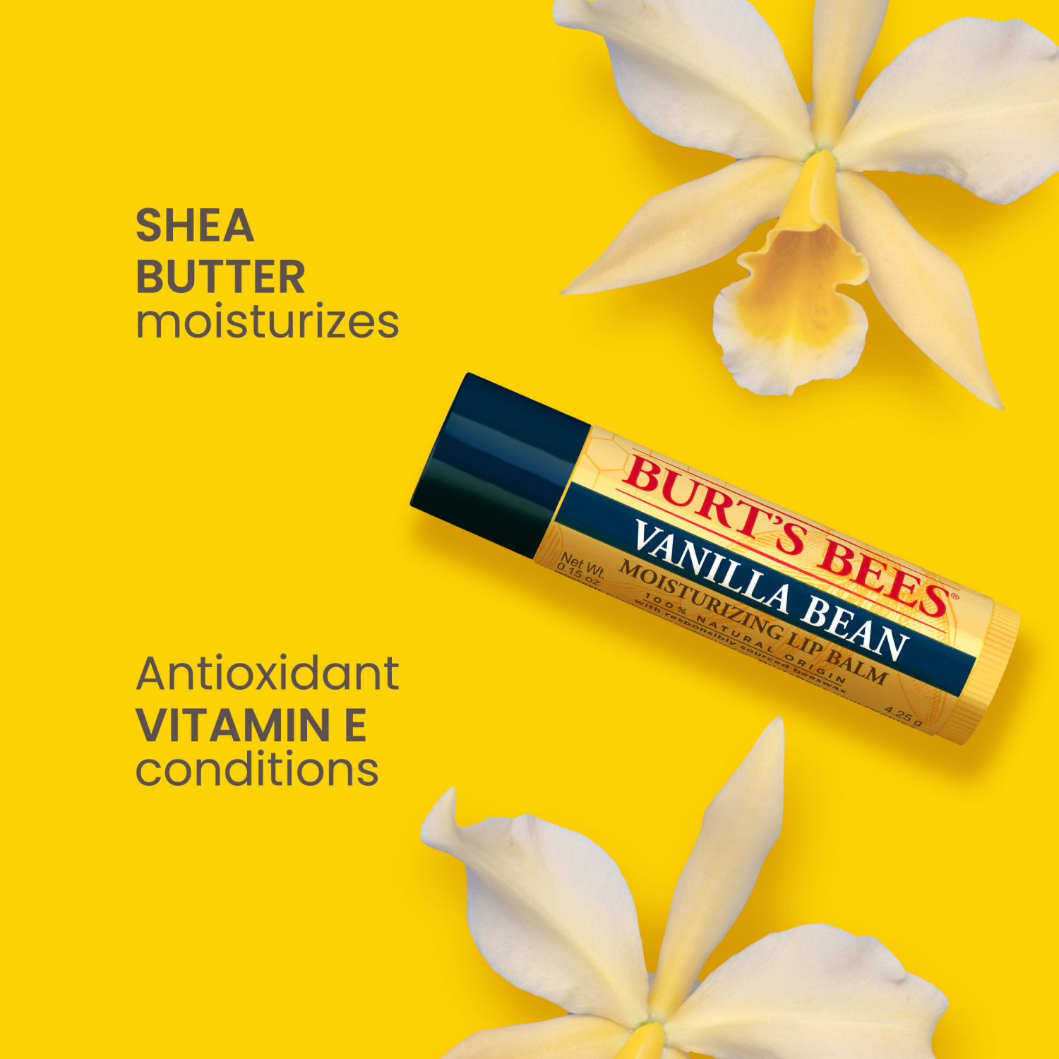 slide 7 of 8, Burt's Bees Vanilla Bean Moisturizing Lip Balms, 2 ct