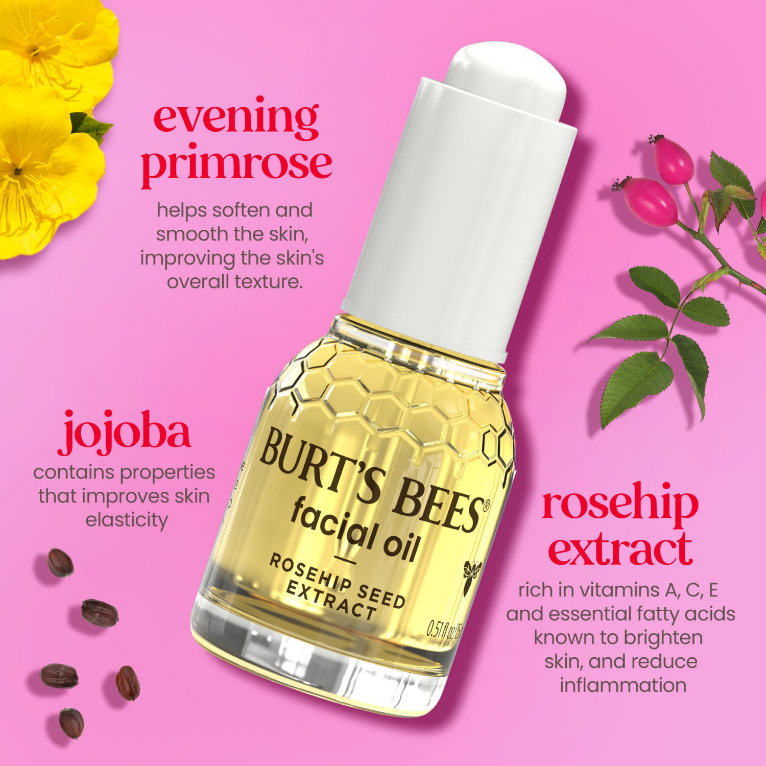 slide 7 of 8, Burt's Bees with Rosehip Seed Extract Face Oil 0.51 fl oz, 0.51 fl oz