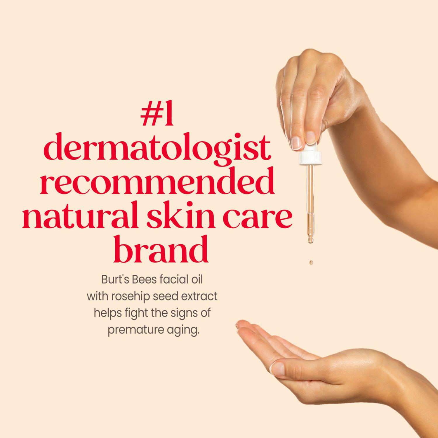 slide 9 of 9, Burt's Bees with Rosehip Seed Extract Face Oil 0.51 fl oz, 0.51 fl oz