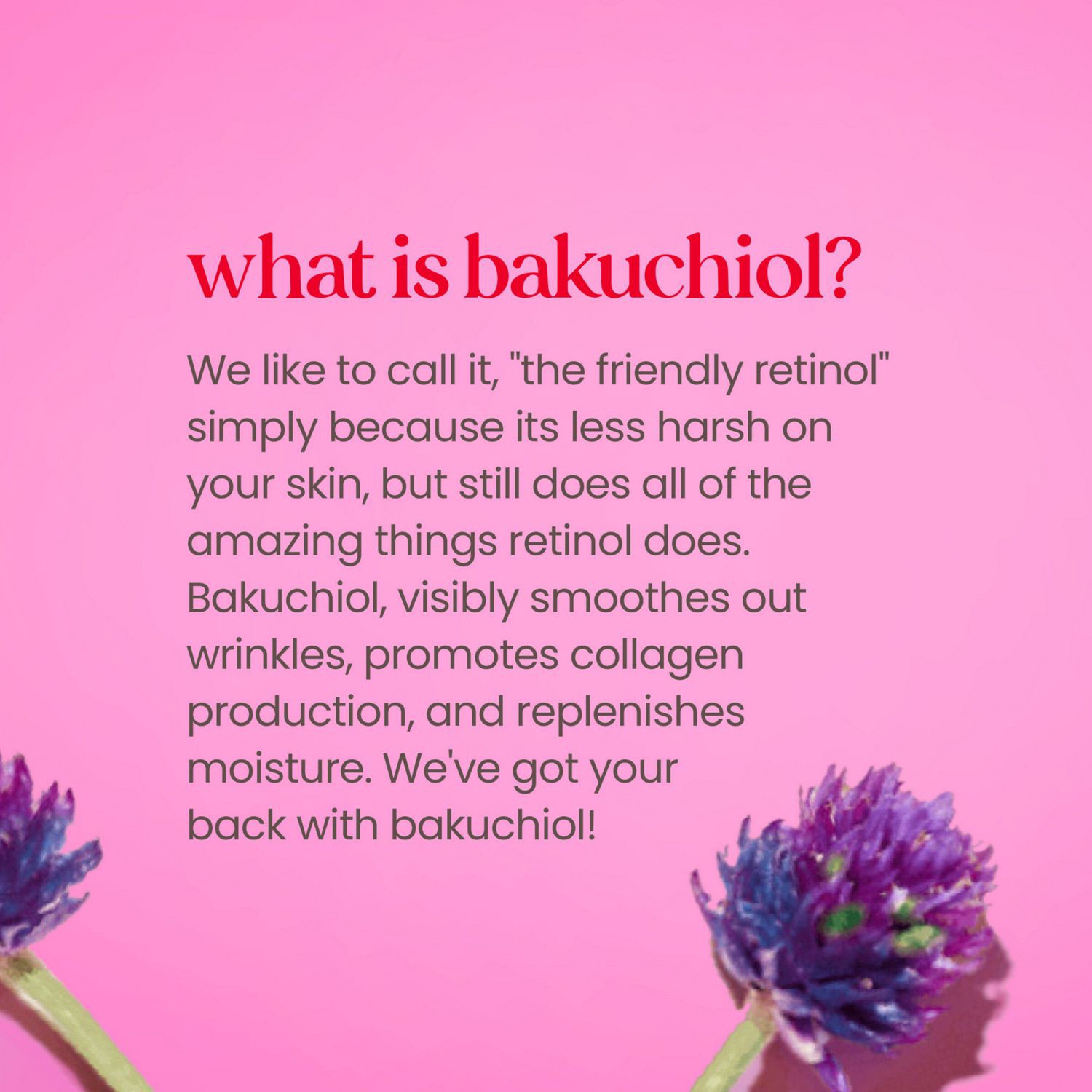 slide 3 of 9, Burt's Bees with Rosehip Seed Extract Face Oil 0.51 fl oz, 0.51 fl oz