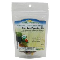 Handy Pantry Bean Sprout Salad