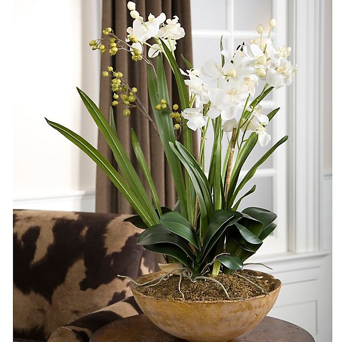 slide 2 of 2, Uttermost Moth Orchid Planter, 1 ct