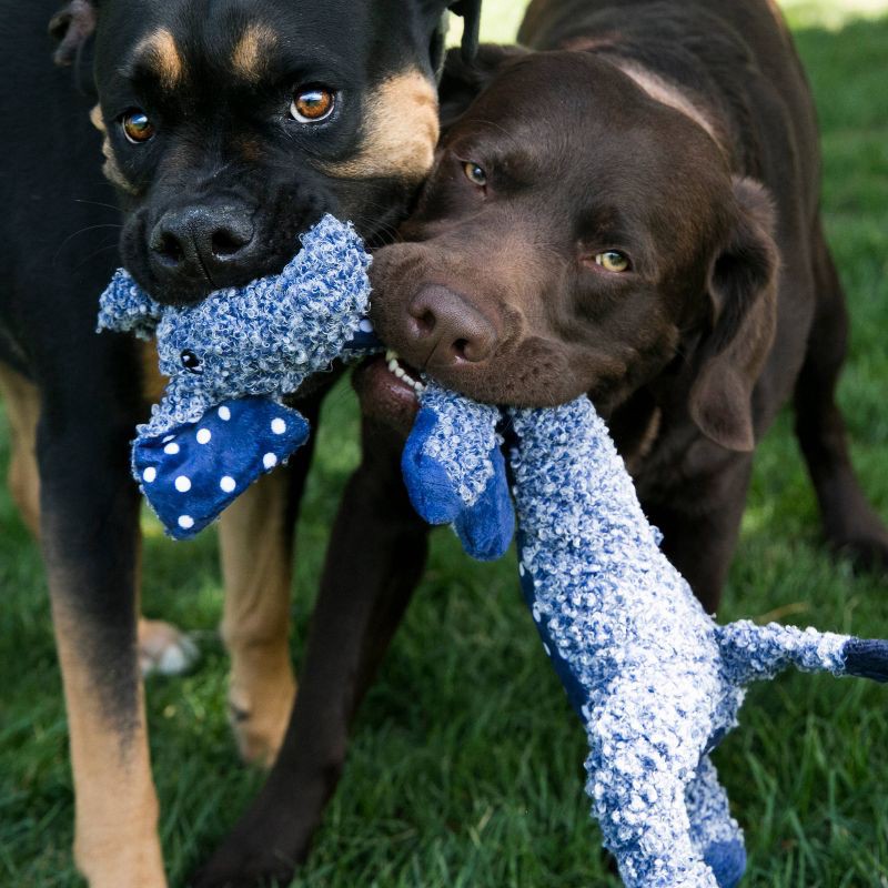 slide 2 of 3, KONG Shakers Elephant Dog Toy - S, 1 ct