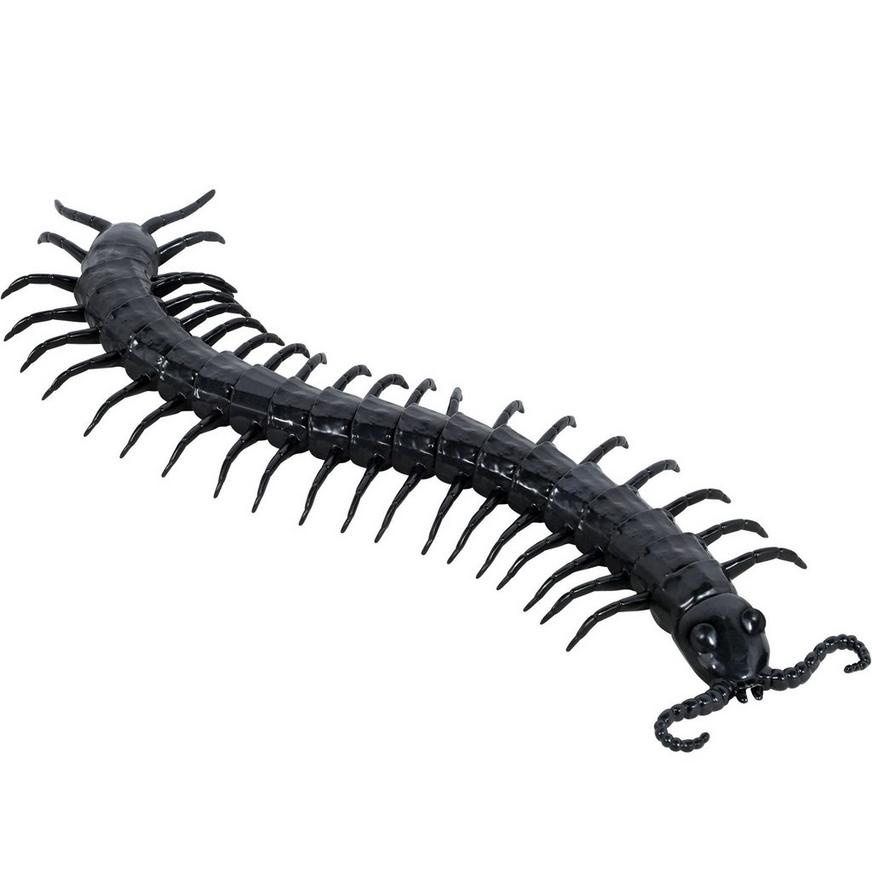 slide 1 of 1, Party City Black Centipede, 1 ct