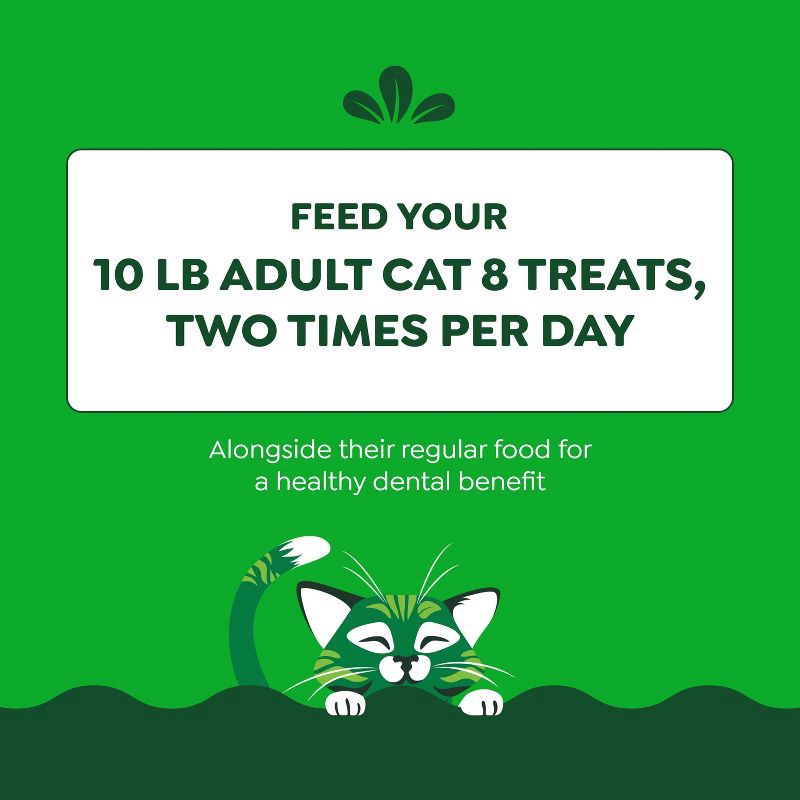 slide 13 of 13, Greenies Catnip Flavor Dental Cat Treats - 4.6oz, 4.6 oz