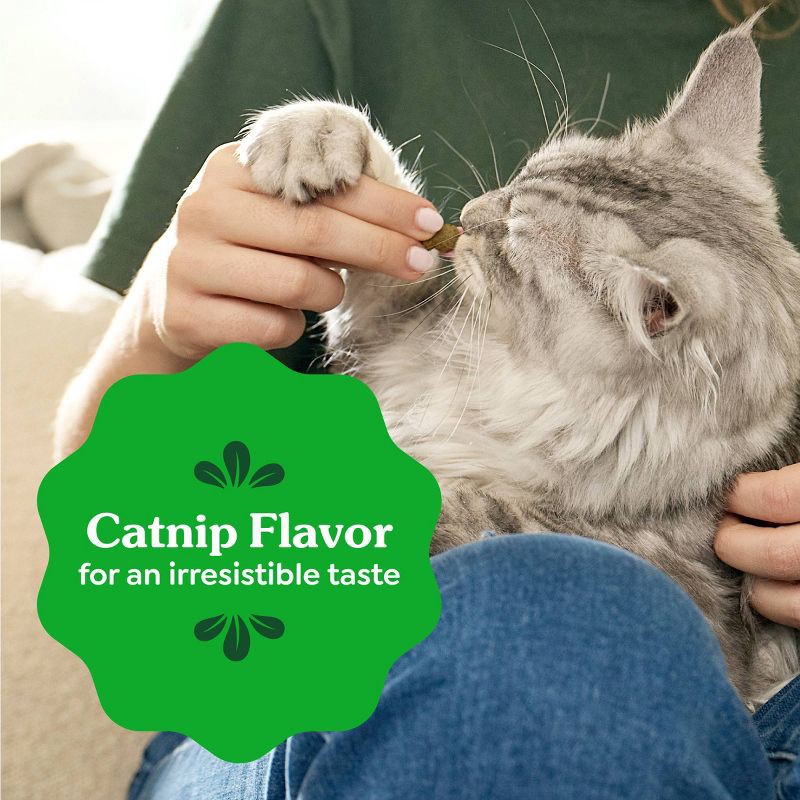 slide 6 of 14, Greenies Catnip Flavor Dental Cat Treats - 4.6oz, 4.6 oz