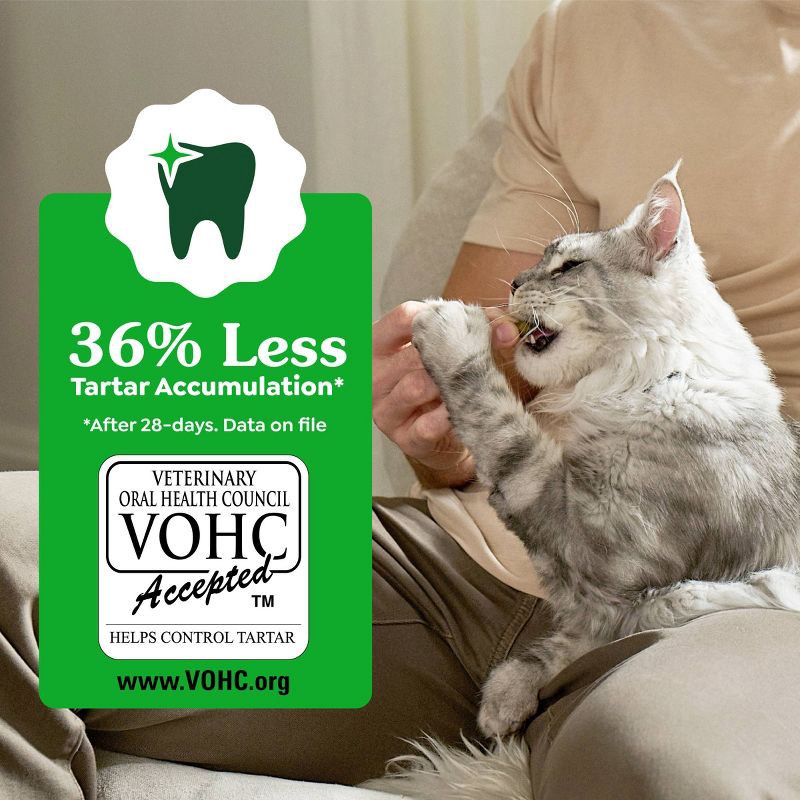 slide 7 of 14, Greenies Catnip Flavor Dental Cat Treats - 4.6oz, 4.6 oz