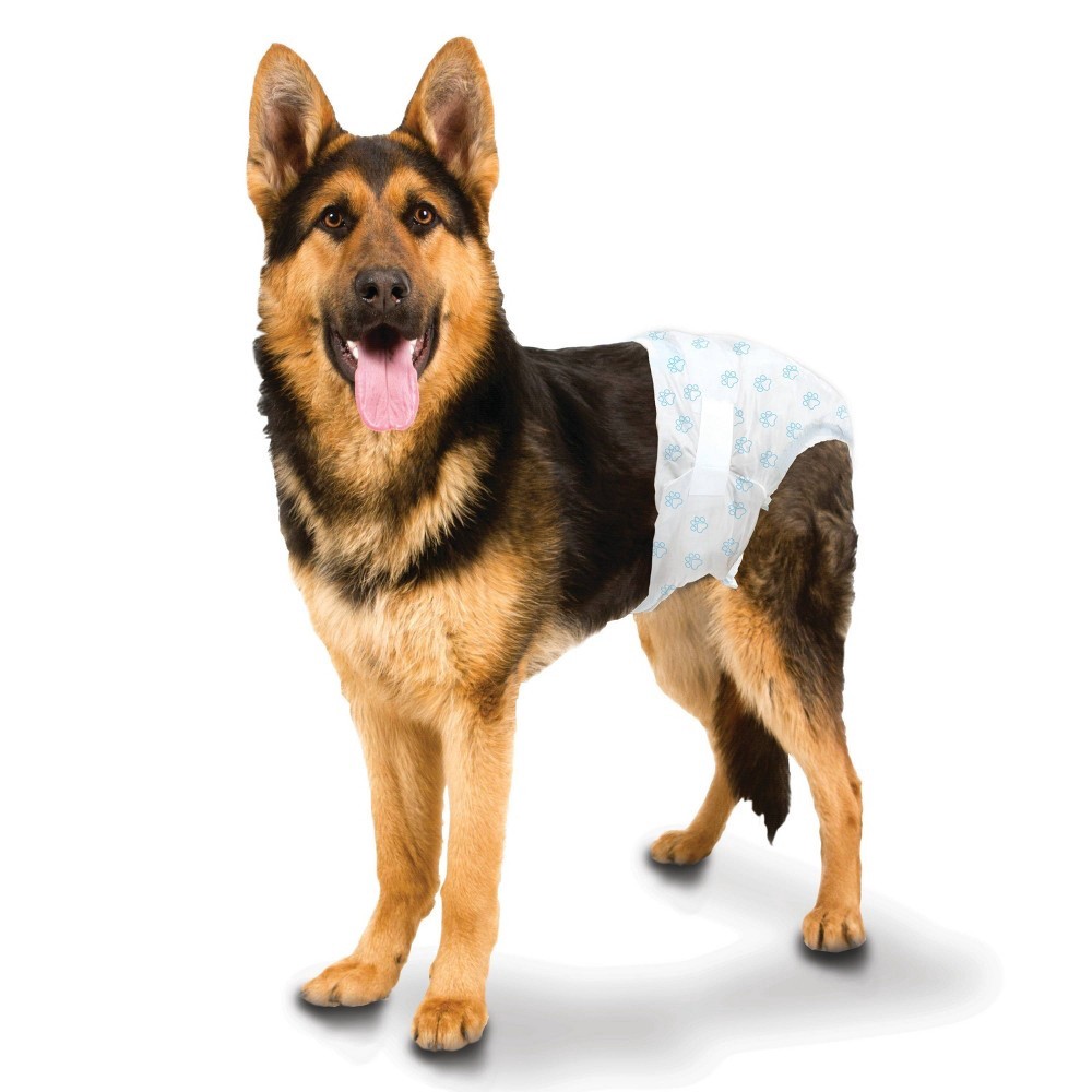 slide 2 of 4, Four Paws Large / X-Large Disposable Diapers For Dogs, 12 ct