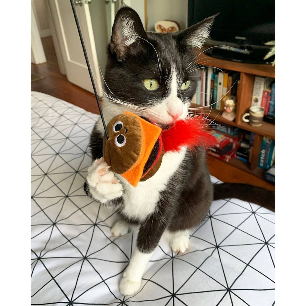 quirky kitty hamburger cat toy