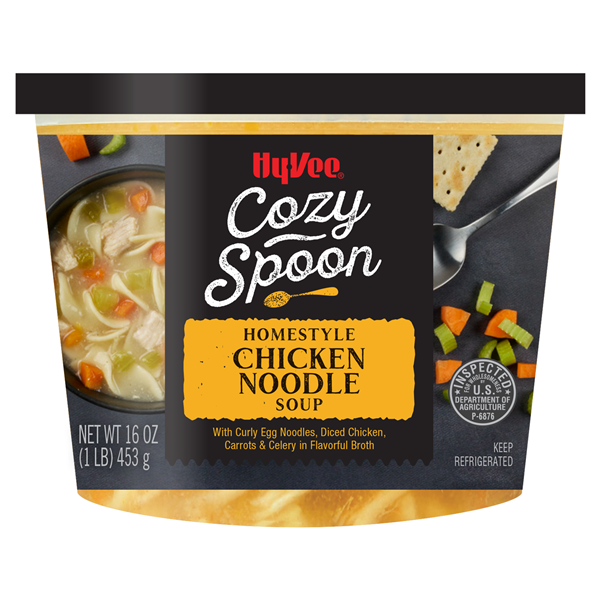 slide 1 of 1, Hy-vee Homestyle Chicken Noodle Soup, 16 oz