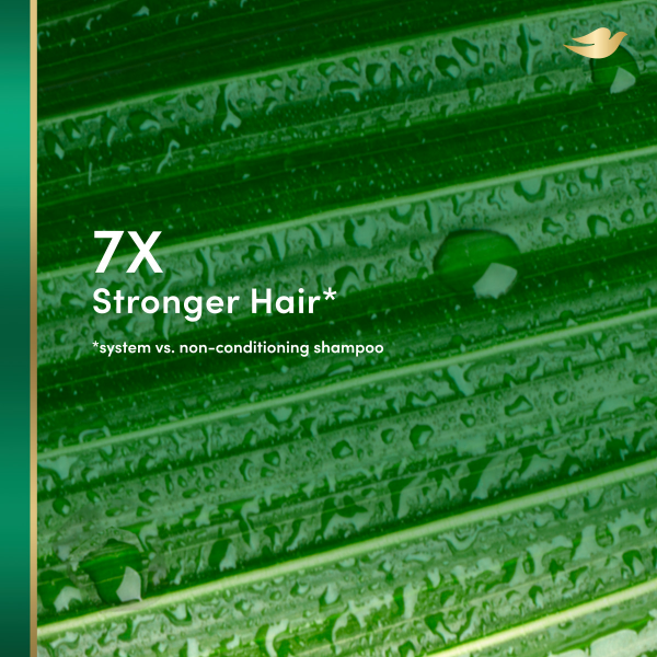 slide 16 of 16, Dove RE+AL Bio-Mimetic Care Conditioner Repair Coconut + Vegan Keratin, 10 oz