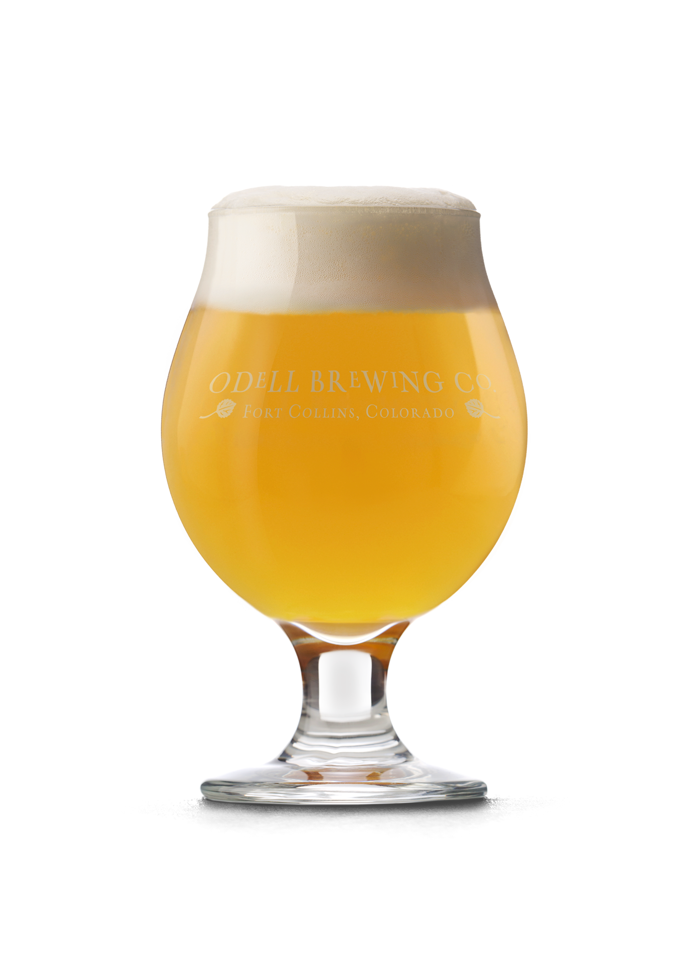 slide 3 of 4, Odell Brewing Co. Odell Mountain Standard Ipa 12pk, 12 ct; 12 fl oz