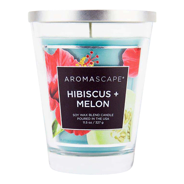 slide 1 of 1, Chesapeake Bay Candle Aromascape Jar Candle Hibiscus + Melon, 11.5 oz