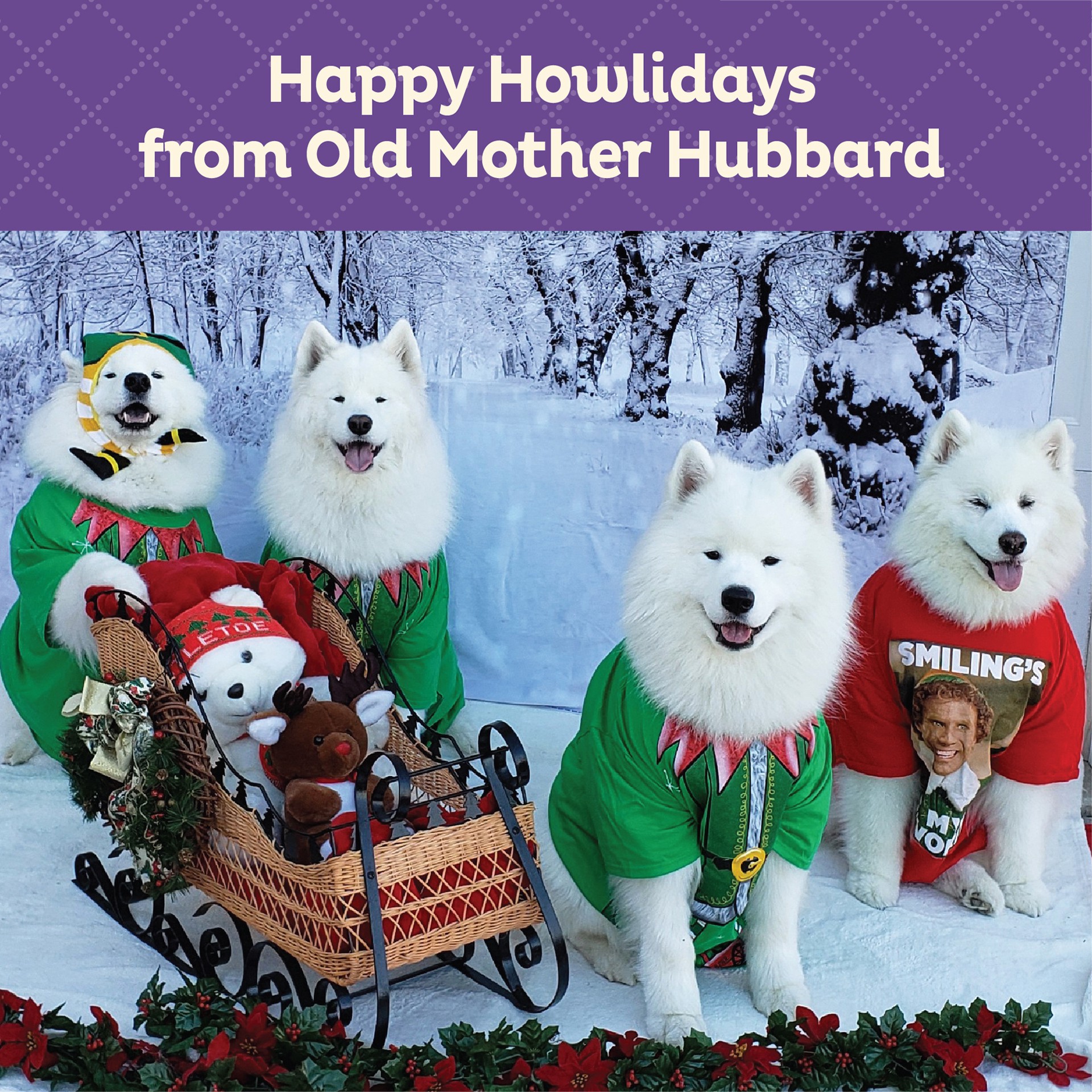 slide 3 of 4, Old Mother Hubbard Wellness Winter Fun P-Nuttier Dog Biscuits, Natural, Seasonal, Holiday Treats, Peanut Butter Flavor, (16 Ounce Bag), 1 ct