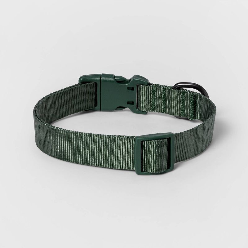slide 2 of 3, Basic Dog Adjustable Collar with Color Matching Buckle - L - Green - Boots & Barkley™, 1 ct