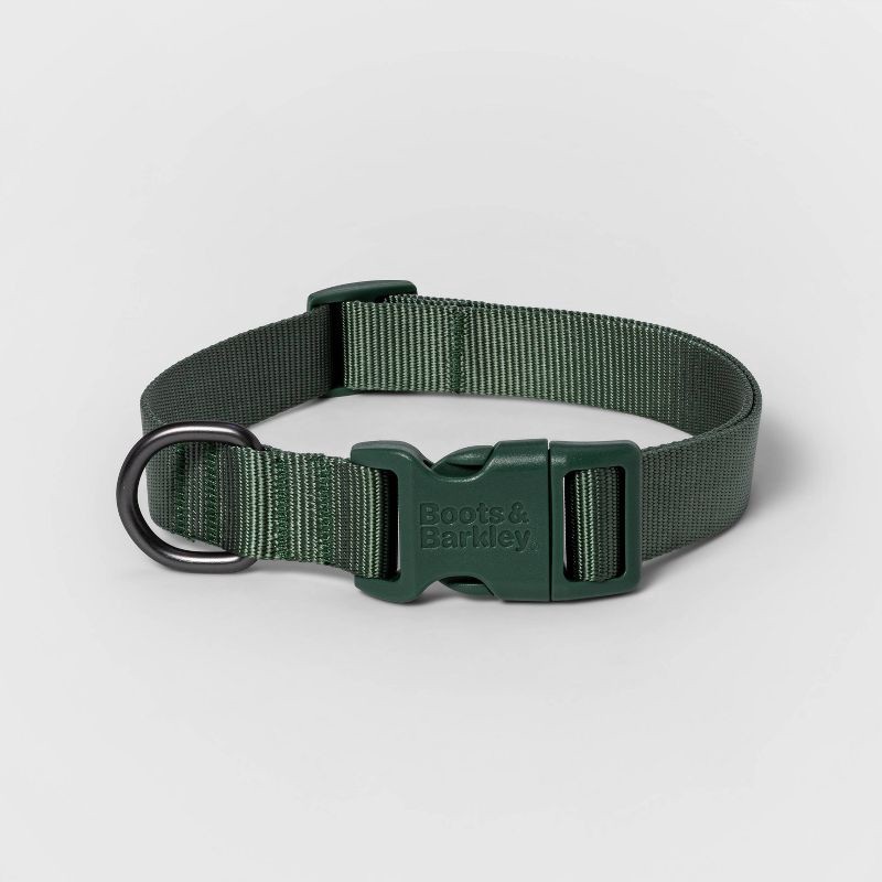 slide 1 of 3, Basic Dog Adjustable Collar with Color Matching Buckle - XL - Green - Boots & Barkley™, 1 ct