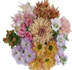DIERBERGS FLOWERS & GIFTS PEACHY PARADISE BOUQUET