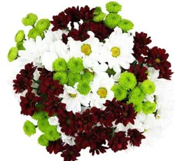 DIERBERGS FLOWERS & GIFTS HOLIDAY MEGA BUNCH