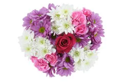 DIERBERGS FLOWERS & GIFTS BLUSH AND BLOOM BOUQUET