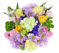 DIERBERGS FLOWERS & GIFTS DANCING QUEEN BOUQUET