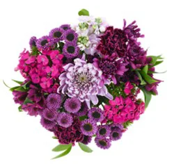 DIERBERGS FLOWERS & GIFTS FOREVER GRATEFUL BOUQUET