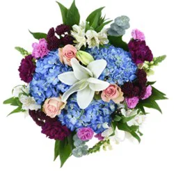 DIERBERGS FLOWERS & GIFTS WARM EMBRACE BOUQUET