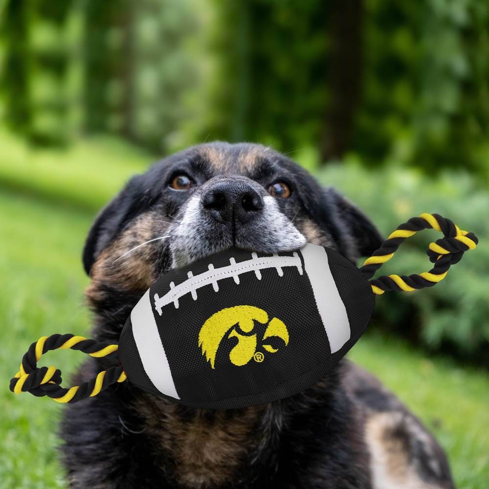 slide 2 of 2, NCAA Iowa Hawkeyes Nylon Football Dog Toy, 1 ct