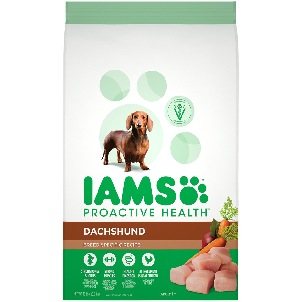 slide 1 of 1, IAMS ProActive Health Adult Dachshund Dry Dog Food, Chicken Flavor, 15 lb
