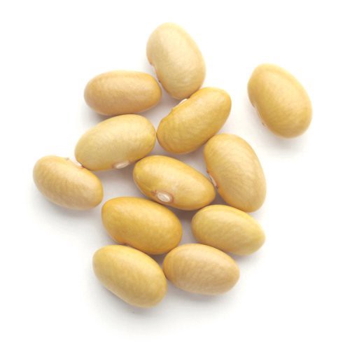 slide 1 of 1, Fresh Mayacoba Beans, per lb