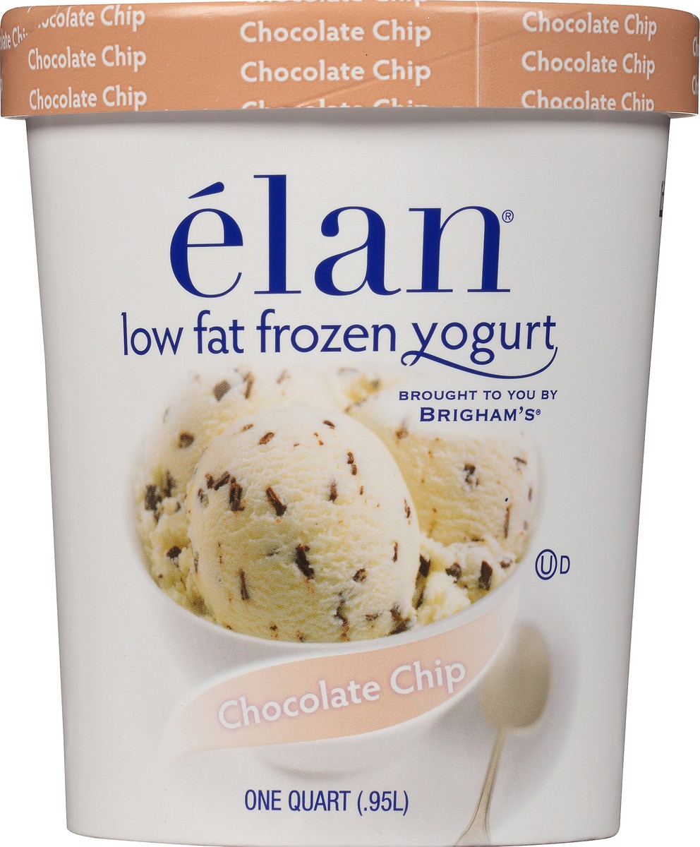 slide 6 of 8, Elan élan Chocolate Chip Frozen Yogurt, 1 Quart, 1 qt