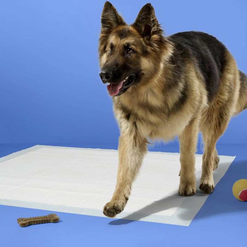slide 2 of 6, Dog Training Pads - XXL - 40ct - up&up™, 40 ct