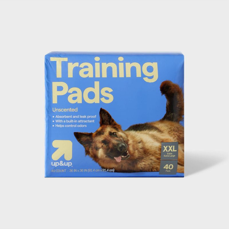 slide 1 of 6, Dog Training Pads - XXL - 40ct - up&up™, 40 ct