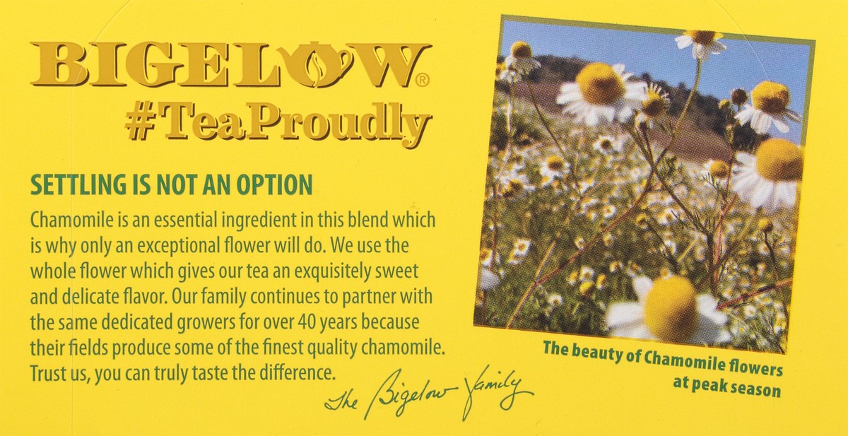 slide 8 of 9, Bigelow Herbal Tea, 20 ct