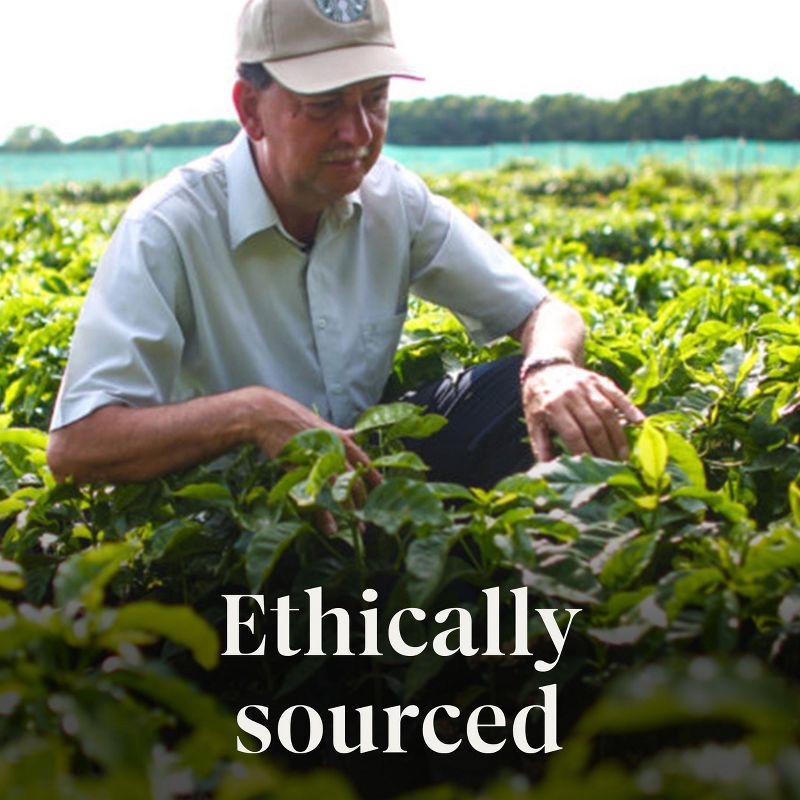 slide 6 of 9, Starbucks Fall Blend Medium Roast Keurig K-Cup Coffee Pods - 22ct, 22 ct