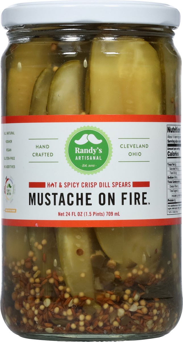slide 3 of 9, Randy's Artisanal Hot & Spicy Crisp Mustache on Fire Dill Spears 24 fl oz, 24 fl oz