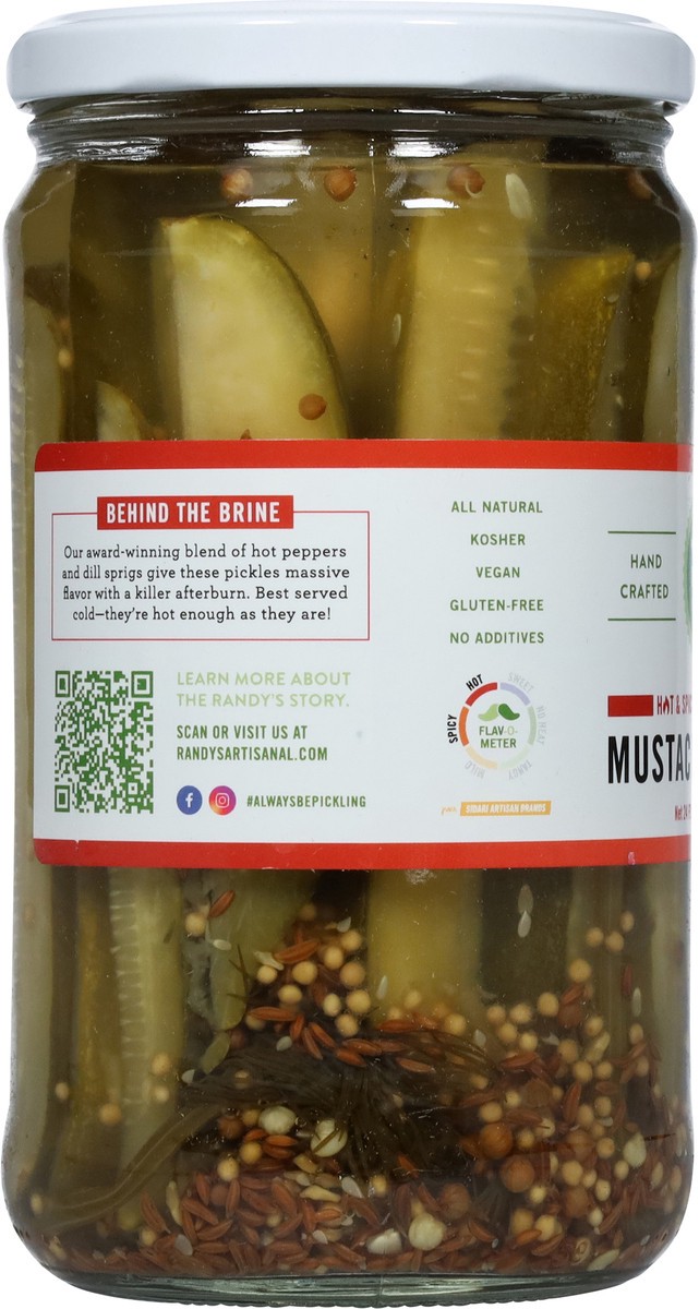 slide 8 of 9, Randy's Artisanal Hot & Spicy Crisp Mustache on Fire Dill Spears 24 fl oz, 24 fl oz