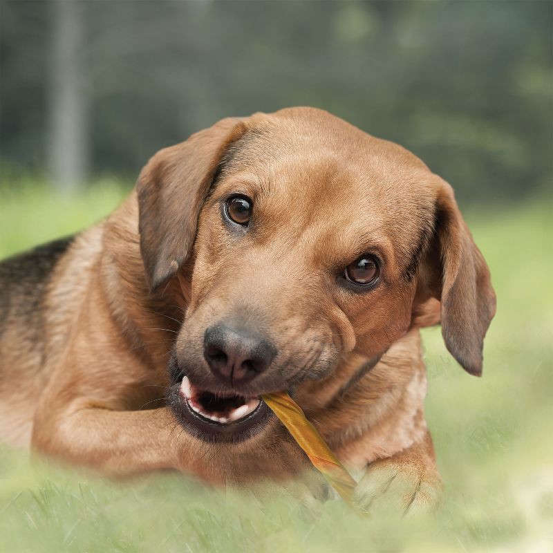 slide 3 of 6, Cadet Choice Chews Peanut Butter Twists Dog Treats - 15ct, 15 ct