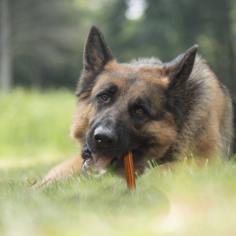 slide 4 of 4, Cadet Choice Chews Peanut Butter Rolls Dog Treats - 10ct, 10 ct