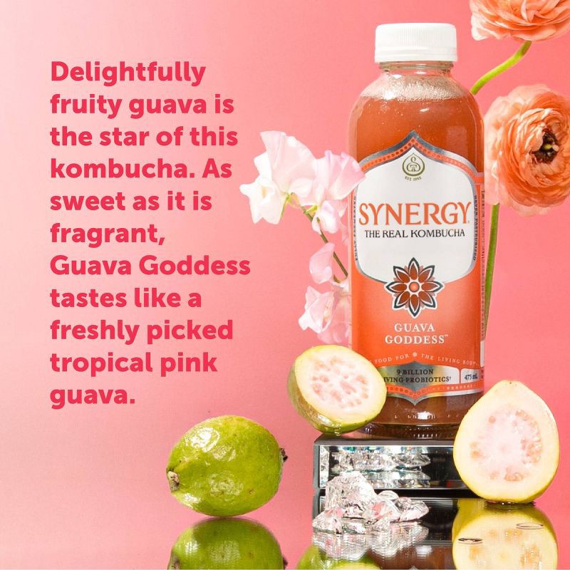slide 6 of 9, GT's Synergy The Real Kombucha, Guava Goddess – 16 fl oz, 16 fl oz