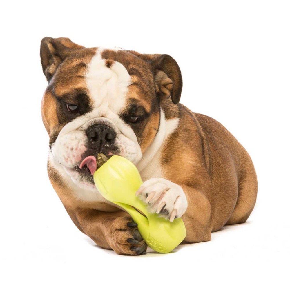 slide 4 of 5, West Paw Qwizl Dog Toy - Granny Smith Apple, 1 ct