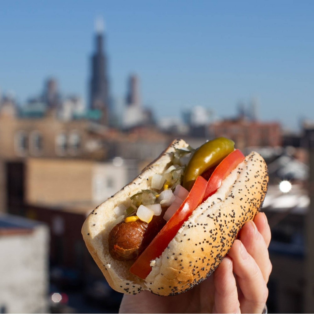 slide 3 of 5, Upton's Naturals Plant-Based Updog, 10 oz