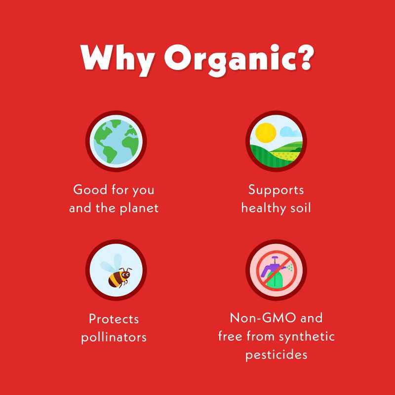 slide 14 of 14, Once Upon a Farm Strawberry Banana Swirl Organic Dairy-Free Kids' Smoothie - 4ct/4oz Pouches, 4 ct; 4 oz