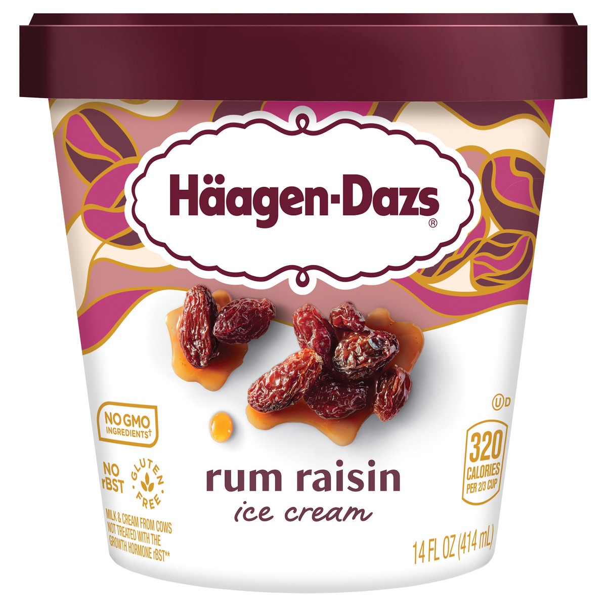 slide 1 of 5, Häagen-Dazs Rum Raisin Ice Cream, 14 fl oz