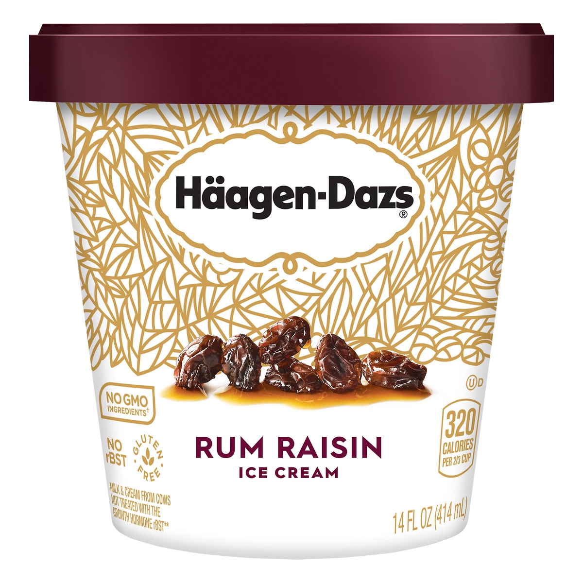 slide 1 of 11, Häagen-Dazs Rum Raisin Ice Cream, 14 fl oz