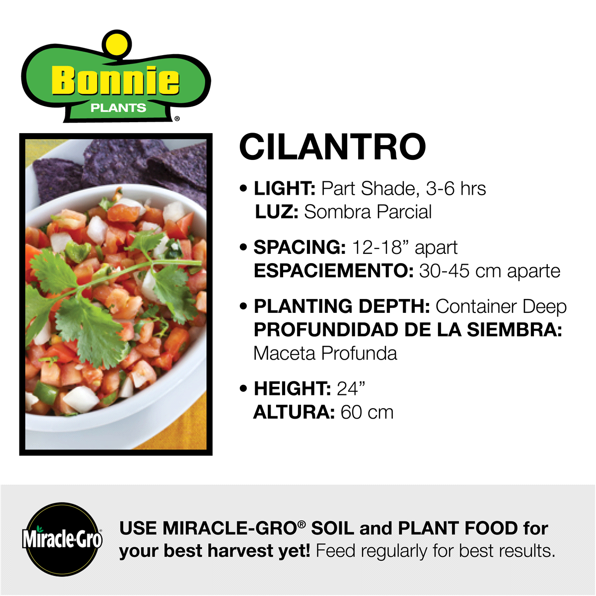 slide 9 of 9, Bonnie Plants  Cilantro, 19.3 oz