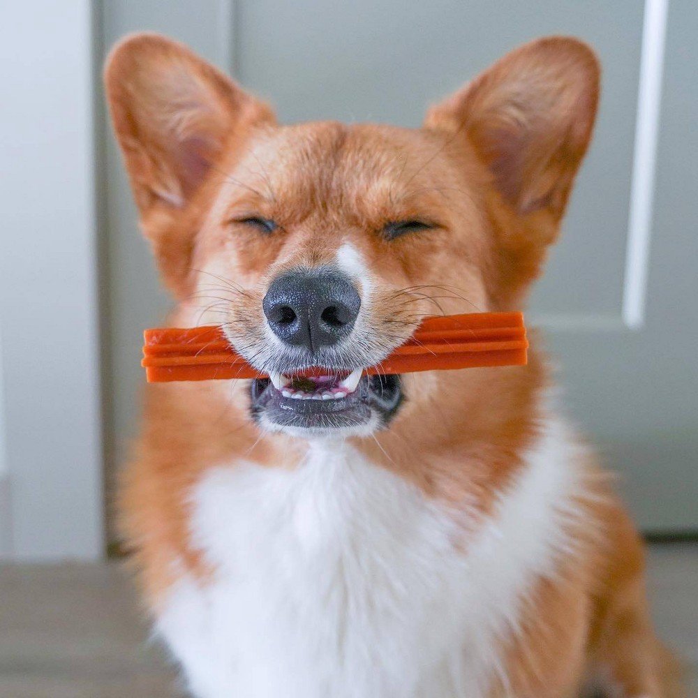 slide 6 of 7, WHIMZEES by Wellness Holiday Dental Vegetable Dog Treats - Medium - 6.3oz, 6.3 oz